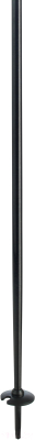 Горнолыжные палки Elan SpeedRod / CD591619 (р.120, черный)