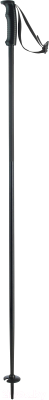 Горнолыжные палки Elan SpeedRod / CD591619 (р.125, черный)
