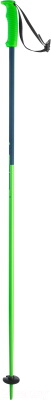 Горнолыжные палки Elan SpeedRod / CD591419 (р.125, зеленый)