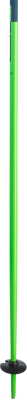 Горнолыжные палки Elan SpeedRod / CD591419 (р.125, зеленый)
