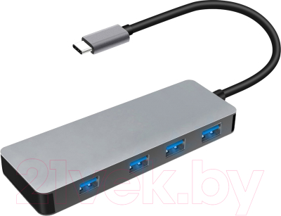 USB-хаб Platinet Type-C 4-Port (PMMA9071)