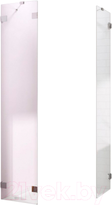 

Душевая стенка Radaway, Essenza Pro PTJ 100Z x 100S / 10100300-01-01