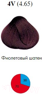 Крем-краска для волос Itely Aquarely 4V/4.65