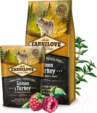 Сухой корм для собак Carnilove Salmon & Turkey for Large Breed Adult / 150821 (12кг)