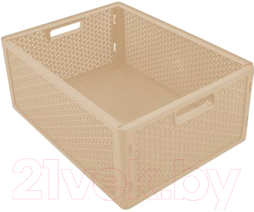 

Корзина Plastic Republic, Nature BQ1208СЛК