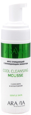 Пенка для умывания Aravia Professional с охлаждающим эффектом Cool Cleansing Mousse (160мл)