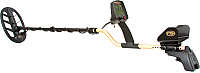 

Металлоискатель Fisher Labs, F75+GWPEU