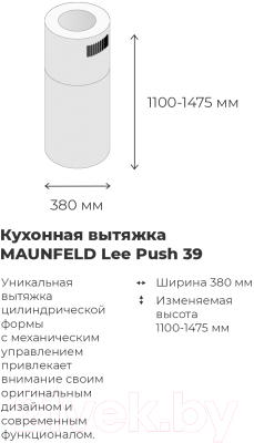 Вытяжка коробчатая Maunfeld Lee Push 39 (нержавеющая сталь)