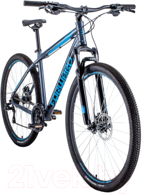 Велосипед Forward Apache 29 3.0 Disc 2020 / RBKW0M69Q007 (17, серый/голубой)