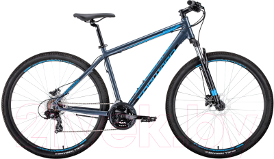 Велосипед Forward Apache 29 3.0 Disc 2020 / RBKW0M69Q015 (21, серый/голубой)