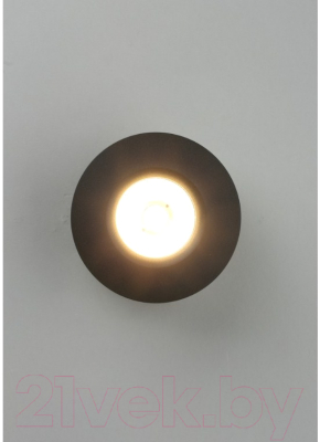 Точечный светильник Omnilux Borgetto OML-101919-12