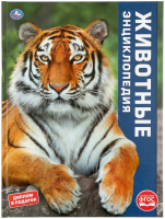 

Энциклопедия Умка, Животные