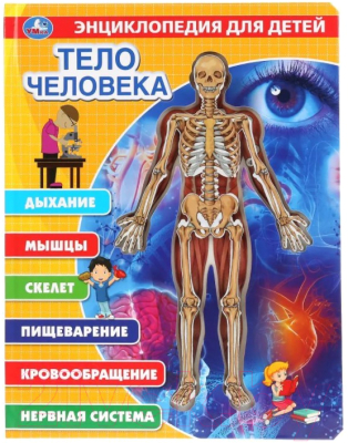 

Энциклопедия Умка, Тело человека