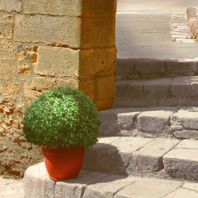 Фотообои листовые Citydecor Фреска Италия 2 (100x254)