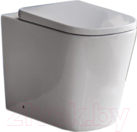 

Унитаз приставной BelBagno, Albano BB120CBR