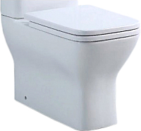 

Унитаз напольный BelBagno, Monica BB805CPR