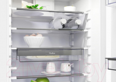 Изображение товара Встраиваемый холодильник Gorenje GDNRK5182A2