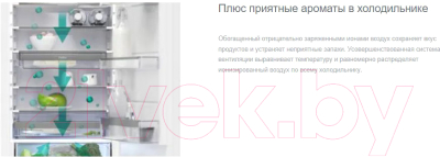 Изображение товара Встраиваемый холодильник Gorenje GDNRK5182A2