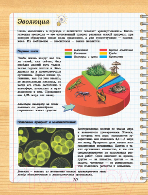 Изображение товара Энциклопедия АСТ 4D-энциклопедия занимательных наук (Вайткене Л., Спектор А.)