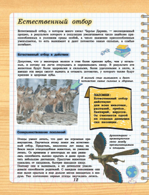 Изображение товара Энциклопедия АСТ 4D-энциклопедия занимательных наук (Вайткене Л., Спектор А.)