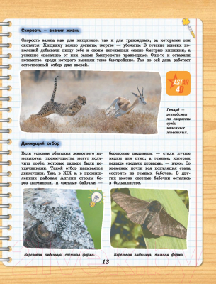 Изображение товара Энциклопедия АСТ 4D-энциклопедия занимательных наук (Вайткене Л., Спектор А.)