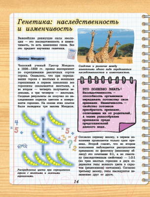 Изображение товара Энциклопедия АСТ 4D-энциклопедия занимательных наук (Вайткене Л., Спектор А.)