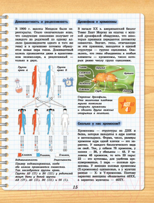 Изображение товара Энциклопедия АСТ 4D-энциклопедия занимательных наук (Вайткене Л., Спектор А.)