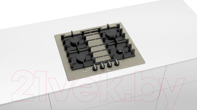 

Комплект встраиваемой техники Bosch, HBG536ES0R + PPP6A8B91R