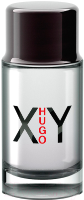 Туалетная вода Hugo Boss Hugo XY (100мл)