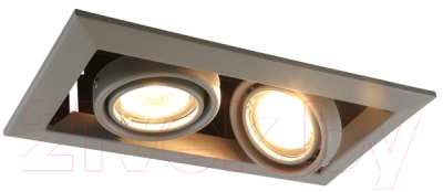 Точечный светильник Arte Lamp A5941PL-2GY