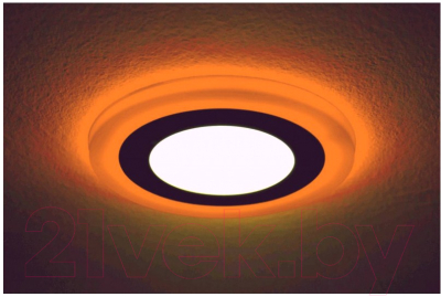 Точечный светильник Truenergy 12+4W 10223 (оранжевый)