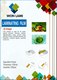 Пленка для ламинирования WF 80x110x125 - 