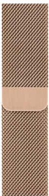 

Ремешок для умных часов Evolution, Milanese Loop AW40-ML01 для Watch 38/40mm