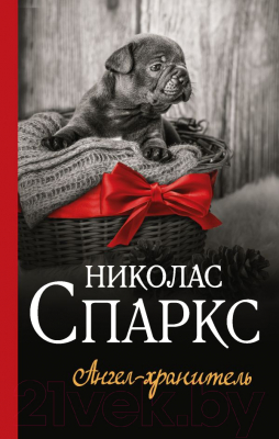

Книга АСТ, Ангел-хранитель