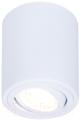 Точечный светильник Ambrella TN225 WH (белый)
