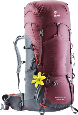 

Рюкзак туристический Deuter, 2020 Aircontact Lite 60+10 SL / 4340218 5423