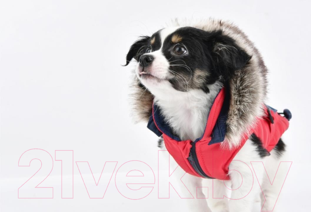 Жилетка для животных Puppia Orson / PARD-VT1569-RD-XXL (XXL, красный) — фото 3