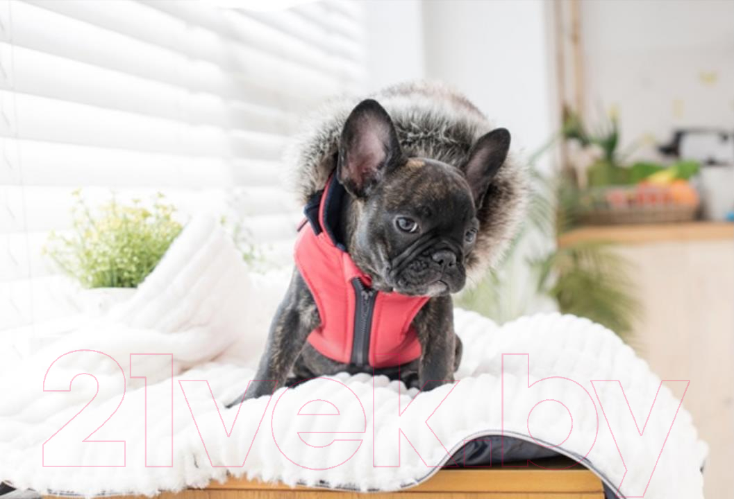 Жилетка для животных Puppia Orson / PARD-VT1569-RD-XXL (XXL, красный) — фото 4
