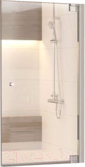 Стеклянная шторка для ванны RGW 011110285-11