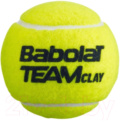 Набор теннисных мячей Babolat Team Clay / 502080 (4шт)