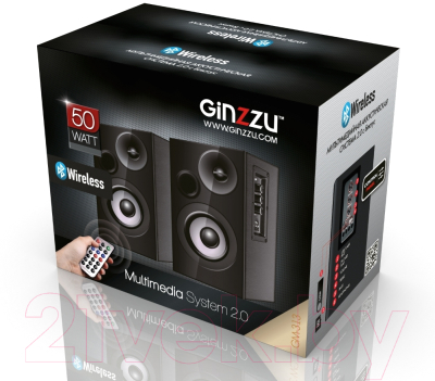 Мультимедиа акустика Ginzzu GM-313