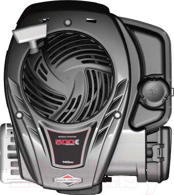 Двигатель бензиновый Briggs & Stratton 500E (09P6020015H5YY0001)