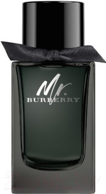 Парфюмерная вода Burberry Mr.Burberry (150мл)