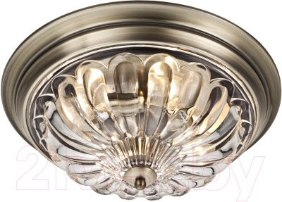 

Потолочный светильник Arte Lamp, Ocean A2128PL-4AB