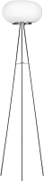 

Торшер, Optica 86817