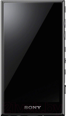 MP3-плеер Sony NW-A105HN (черный)