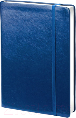 Ежедневник InFolio Elegance / AZ150 (синий)