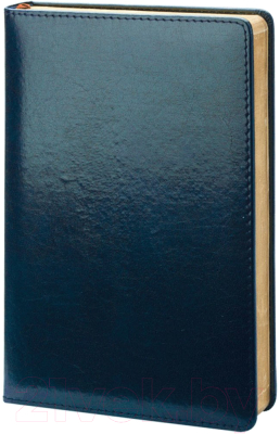 Ежедневник InFolio Britannia / I508 (синий)