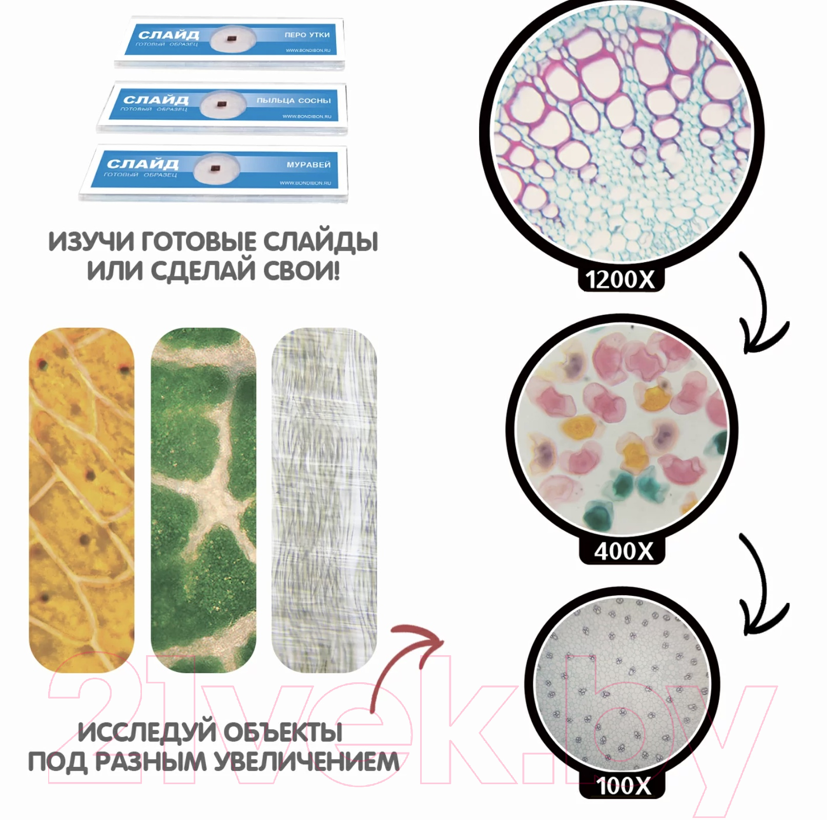 Микроскоп оптический Bondibon Французские опыты. Науки с Буки. Микроскоп / ВВ4200