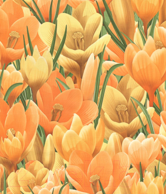 

Бумажные обои Гомельобои, Желтый;рисунок, Голландия 16С2К к-52